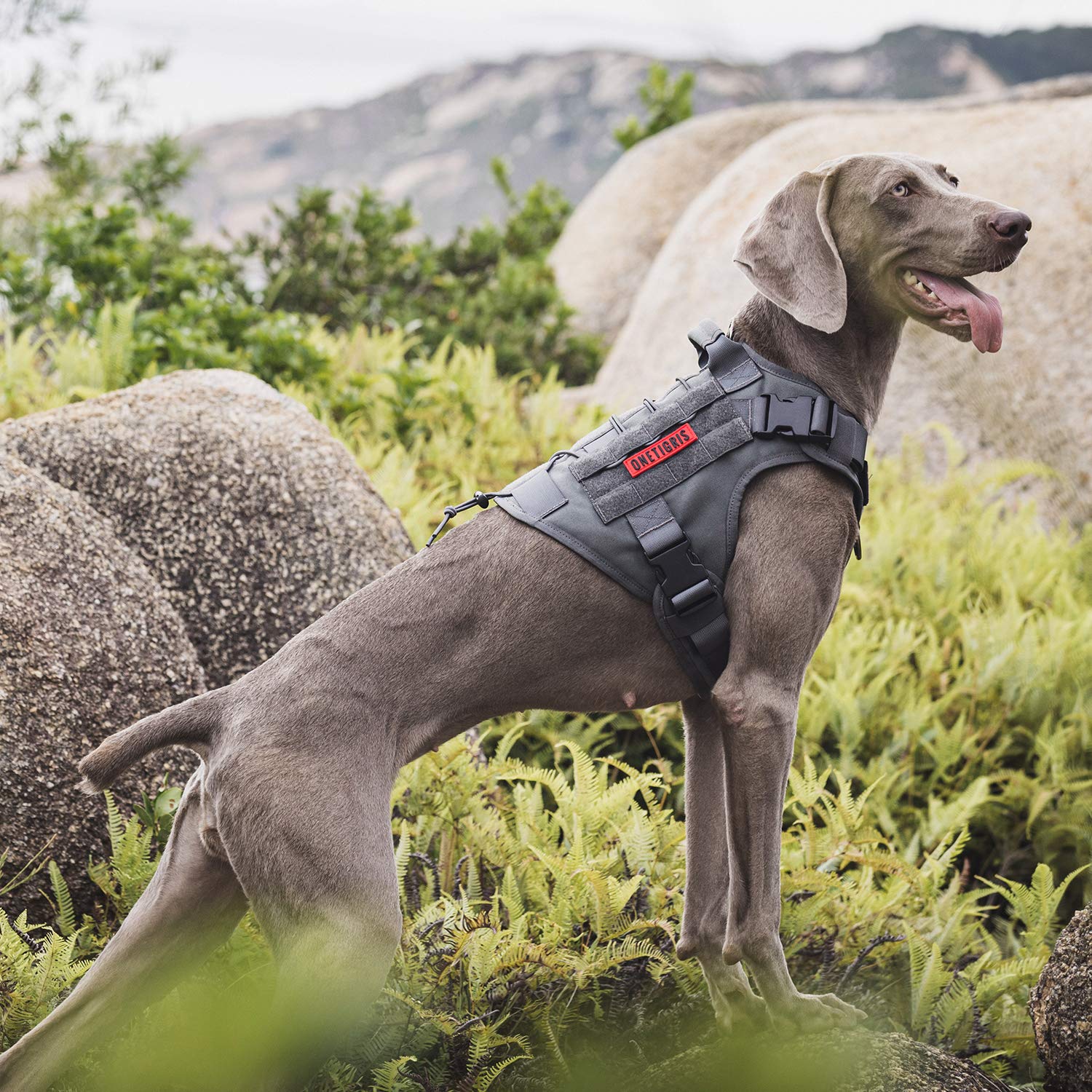 ONETIGRIS top handle design enabling quick control on crowded trails