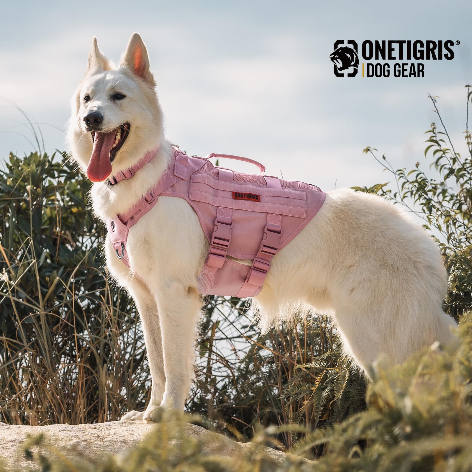 ONETIGRIS training dog collar with handle enables quick guidance during drills.
