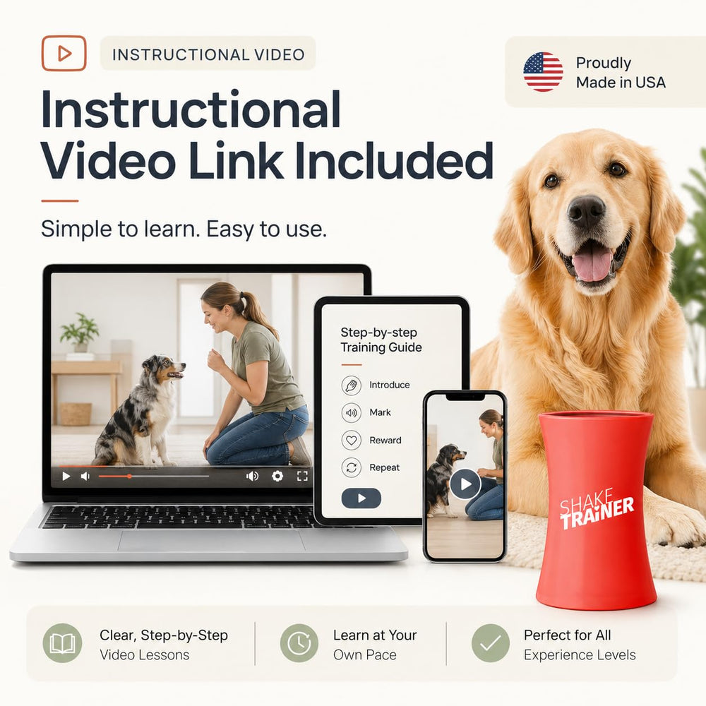 ONKEY ShakeTrainer supports puppy training in a cozy home setting.