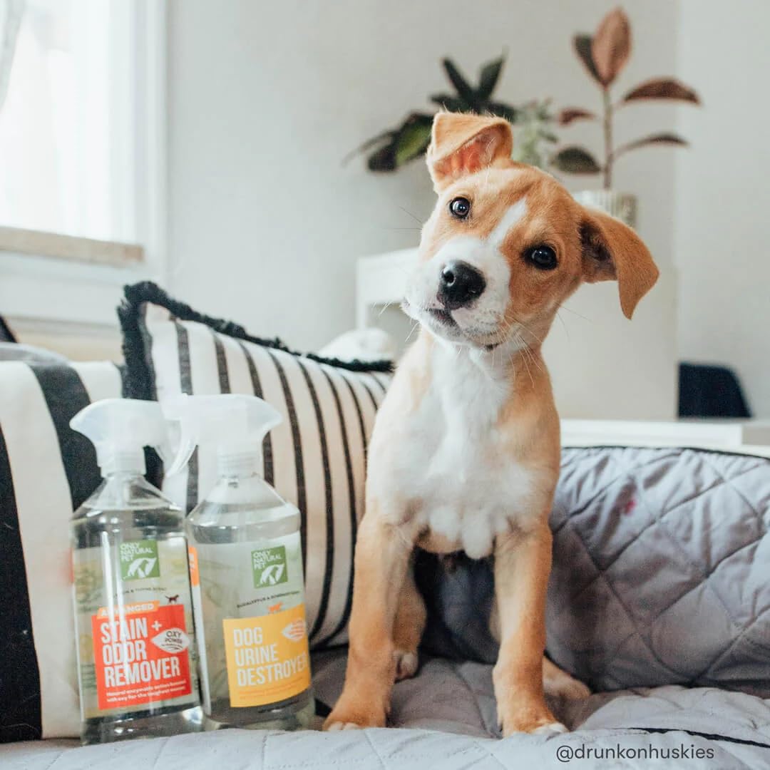 Only Natural Pet Advanced Dog Stain Odor Remover safe on carpet and upholstery.