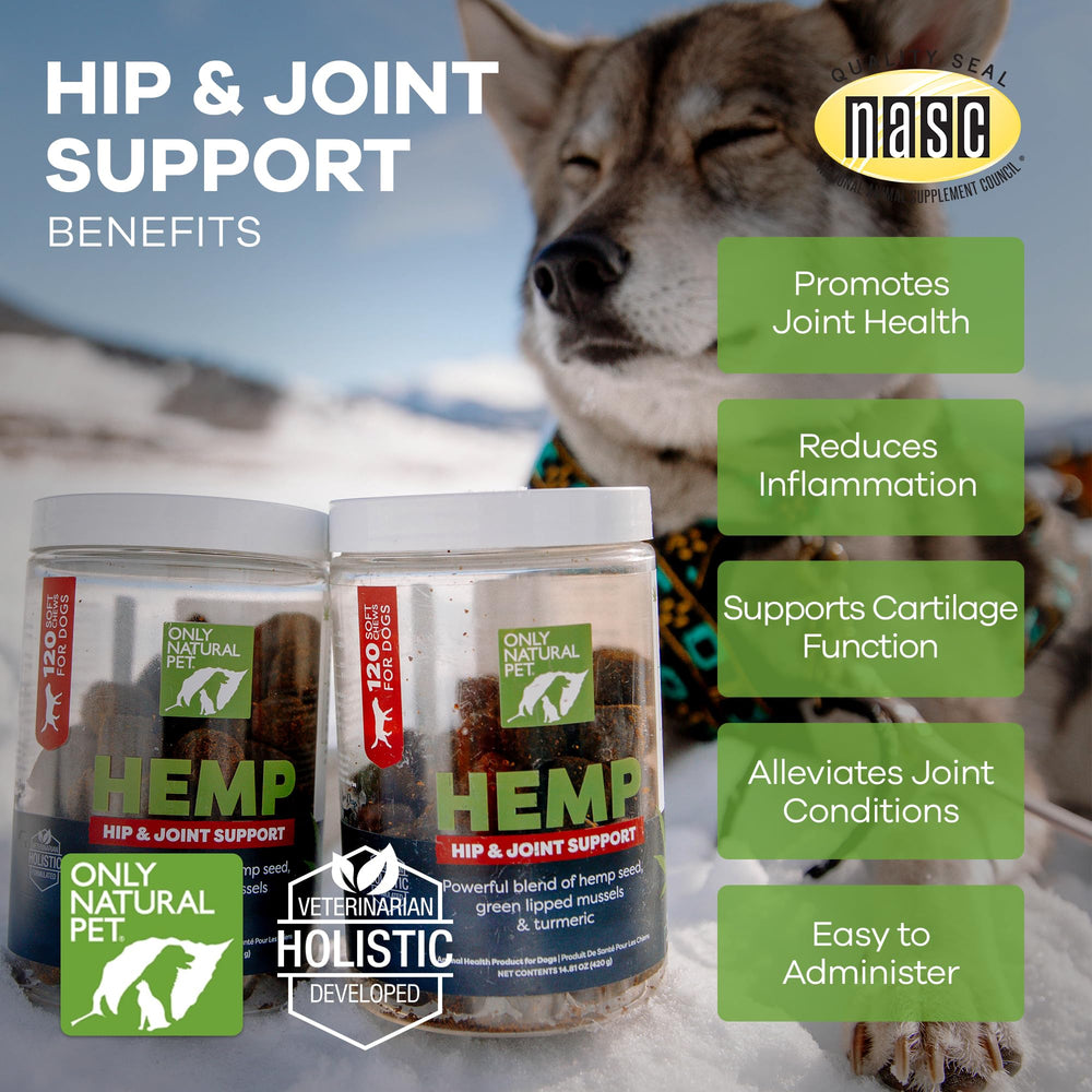 Only Natural Pet dog enjoying activity after hip and joint supplementation.