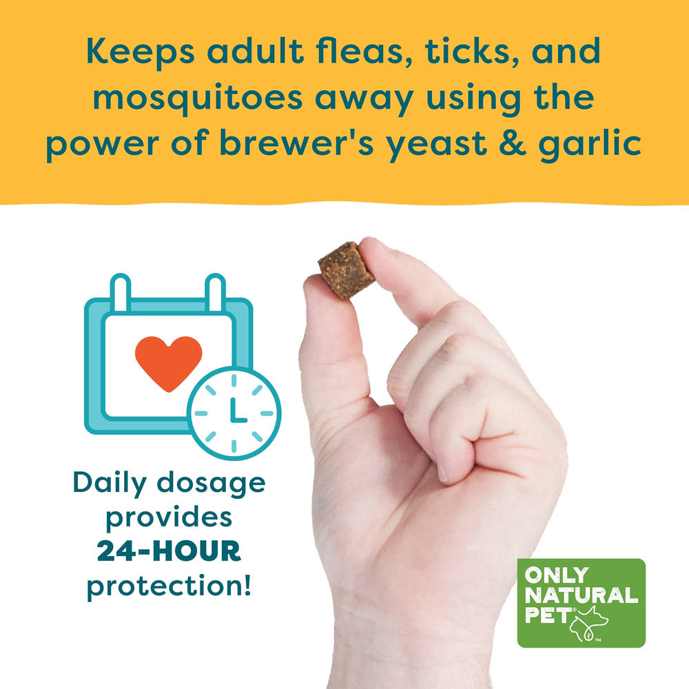 Only Natural Pet EasyDefense Barrier Bites dog enjoying bacon-flavored chew during walk.