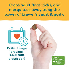 Only Natural Pet EasyDefense Barrier Bites dog enjoying bacon-flavored chew during walk.