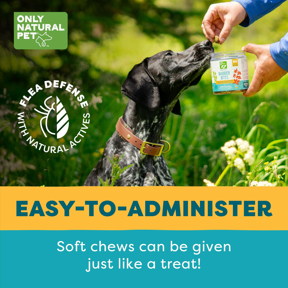 Only Natural Pet EasyDefense Barrier Bites soft chews help prevent fleas and ticks from inside.