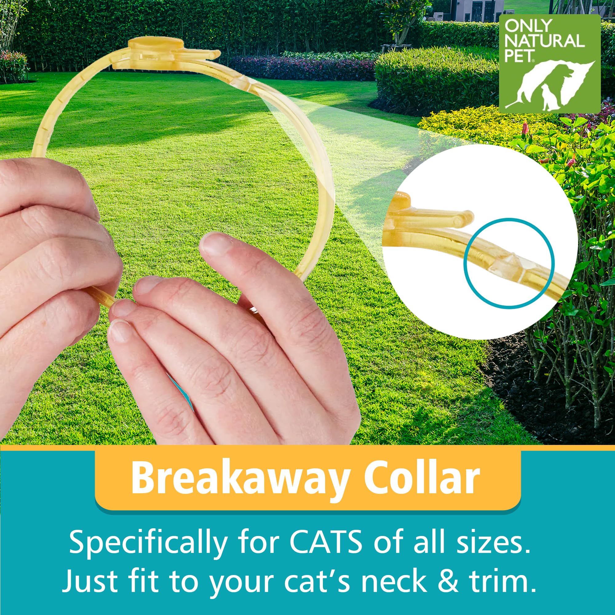 Only Natural Pet EasyDefense cat collar on cat in living room comfortable wear during daily activities.