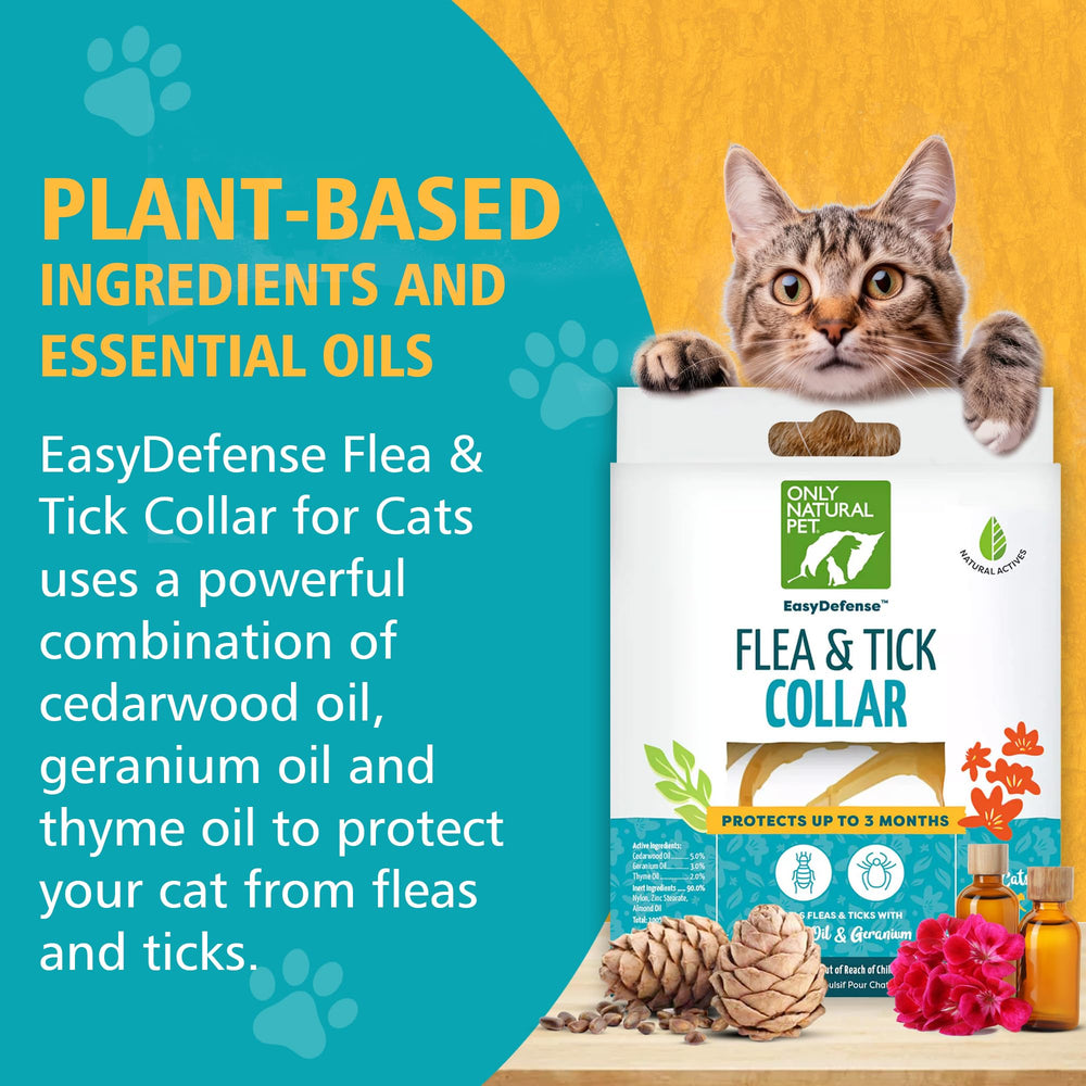 Only Natural Pet EasyDefense cat collar worn on cat neck simple, effective flea and tick protection.