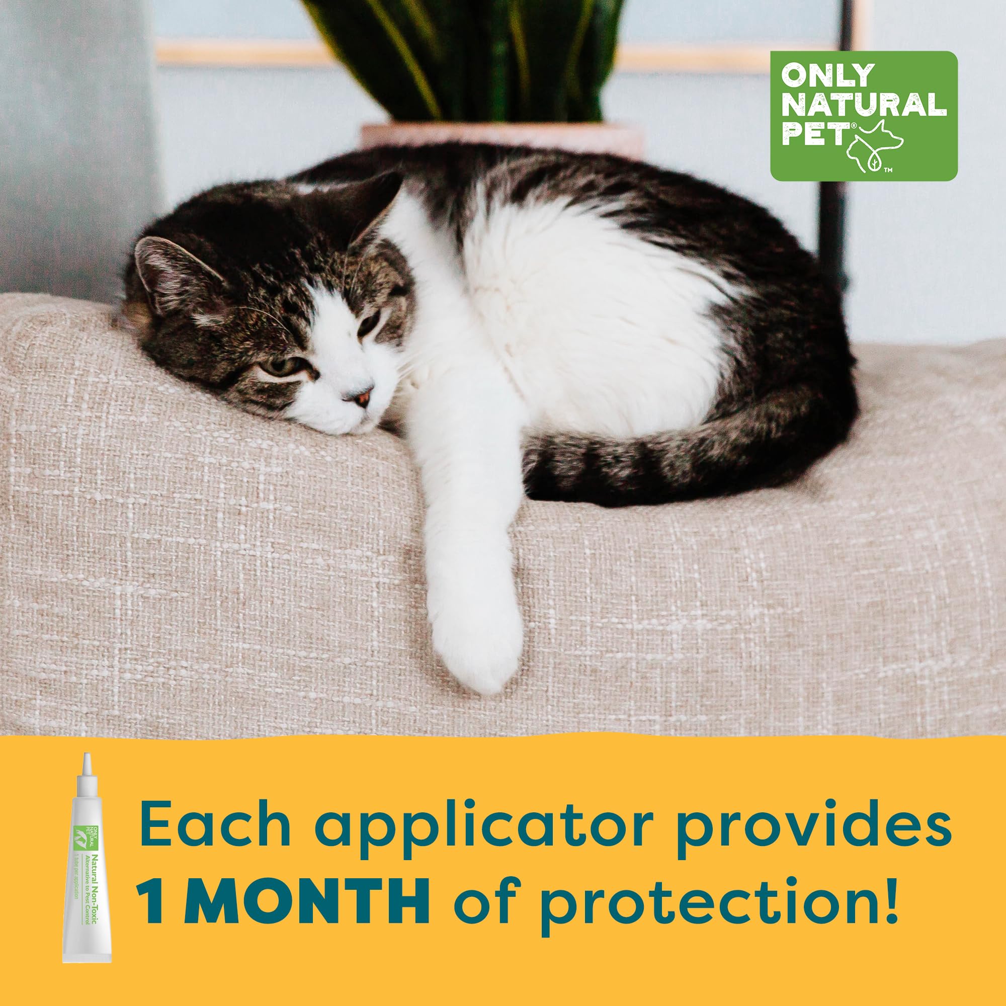 Only Natural Pet EasyDefense suitable for cats four months and older.