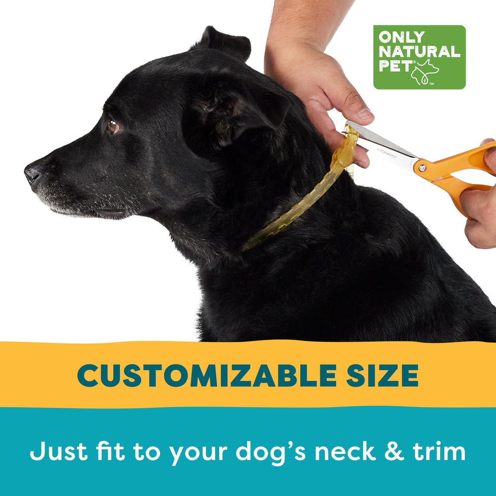 Only Natural Pet EasyDefense dog collar packaging highlights safe care.