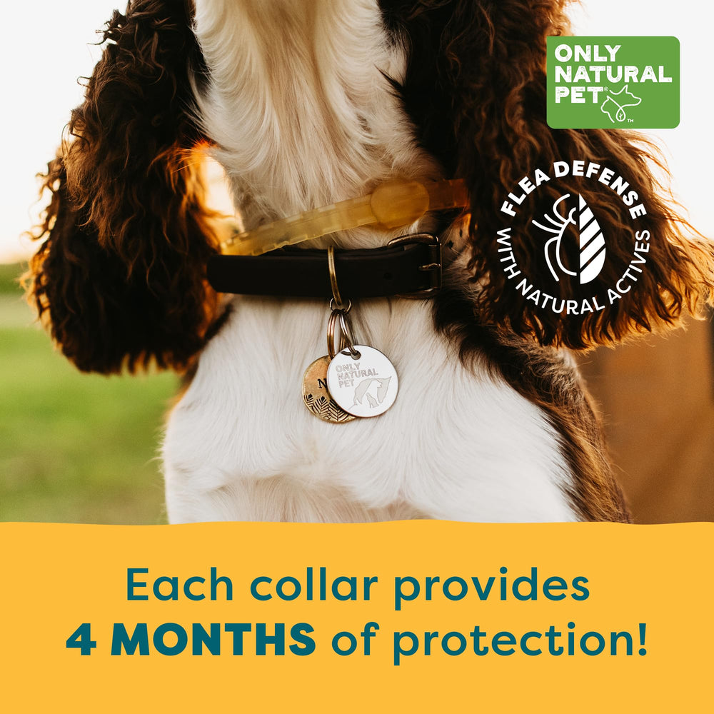 Applying collar to dog's neck showing proper fit and safety margin