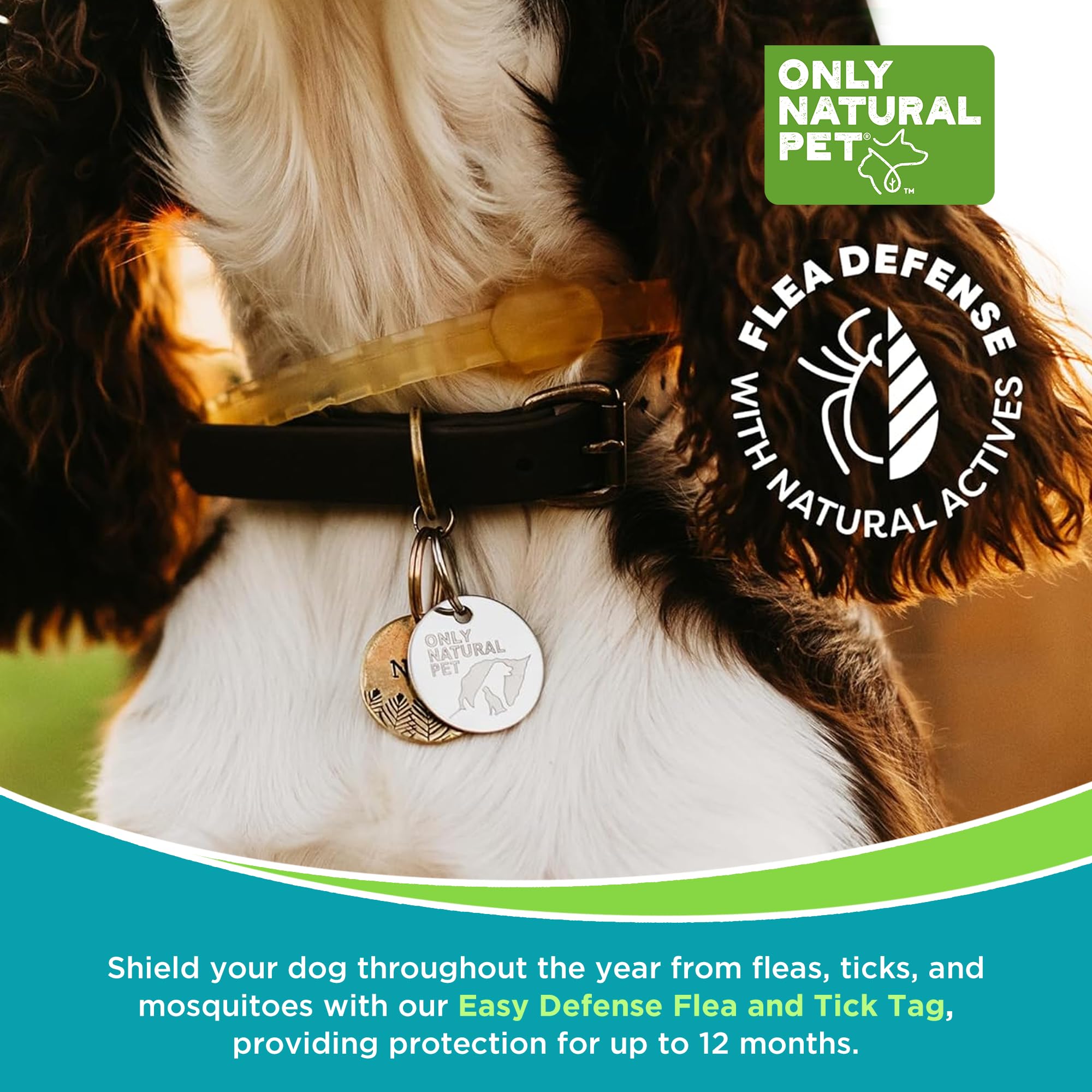 Only Natural Pet EasyDefense Tag indoor-outdoor wear suits year-round routines