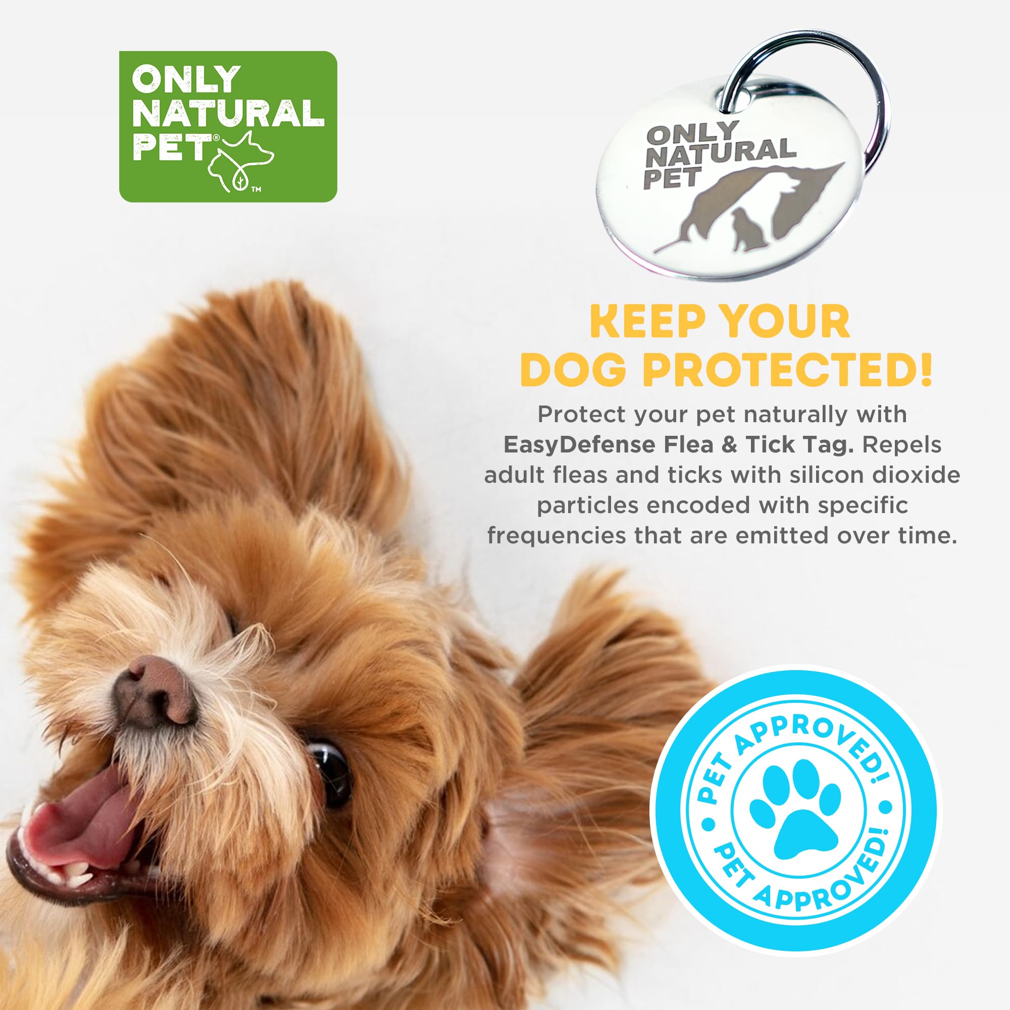 Only Natural Pet EasyDefense Tag puppy and kitten wear starts early with non-pesticide design