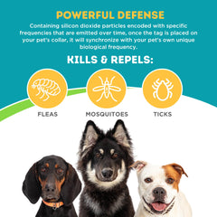 Only Natural Pet EasyDefense Tag waterproof durability supports play and outdoor adventures