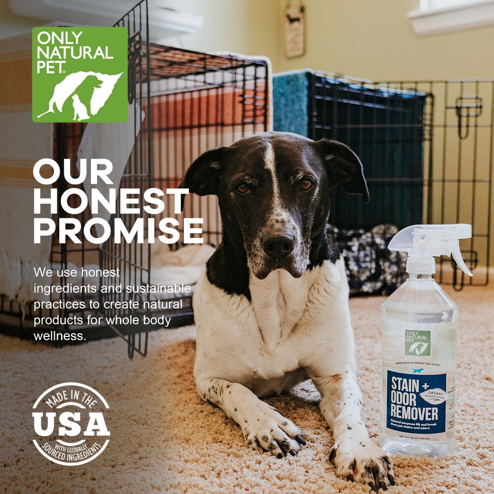 Only Natural Pet enzyme odor neutralization closeup highlights deep scent removal.