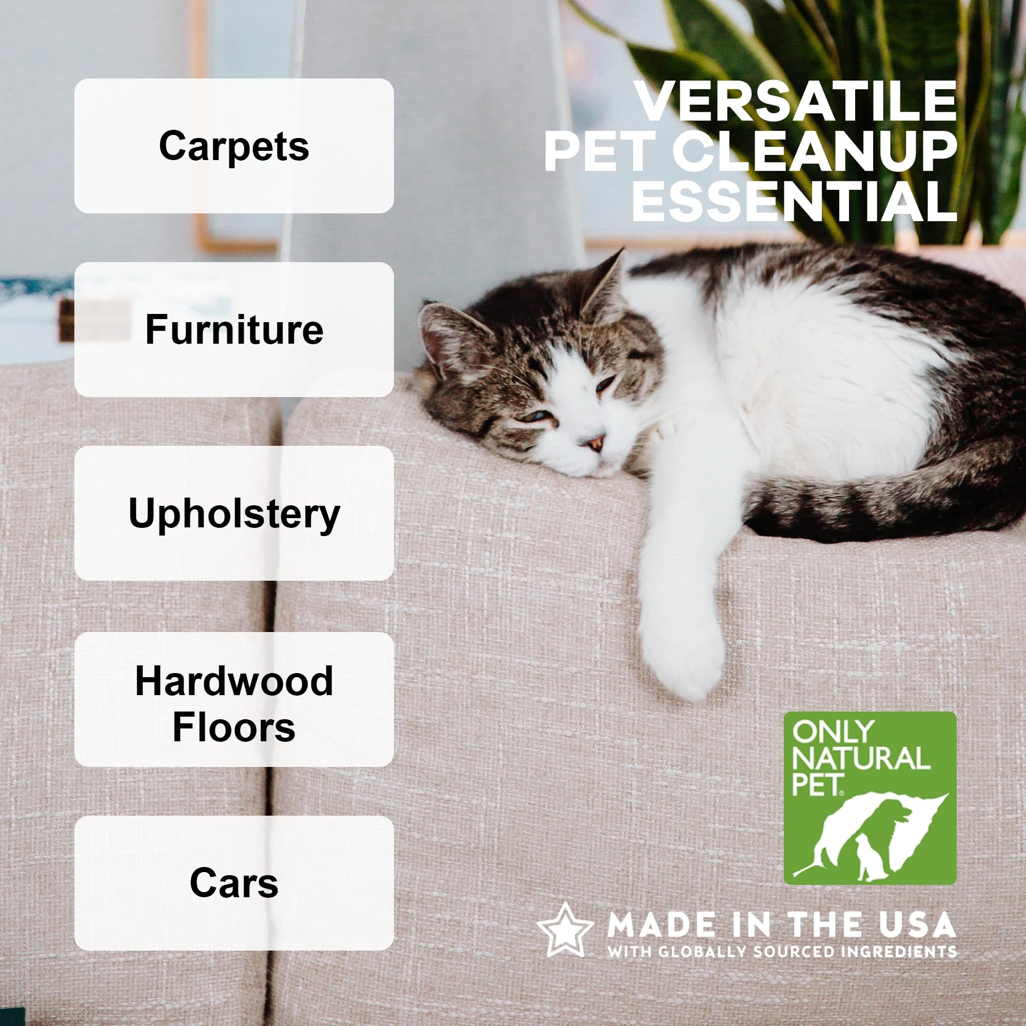 Only Natural Pet couch upholstery cleaned with enzyme cleaner and odor removal