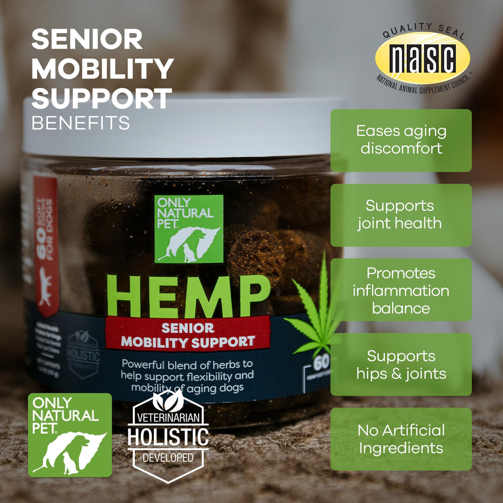 Only Natural Pet Hemp Advanced Mobility helps a dog stay active on walks.