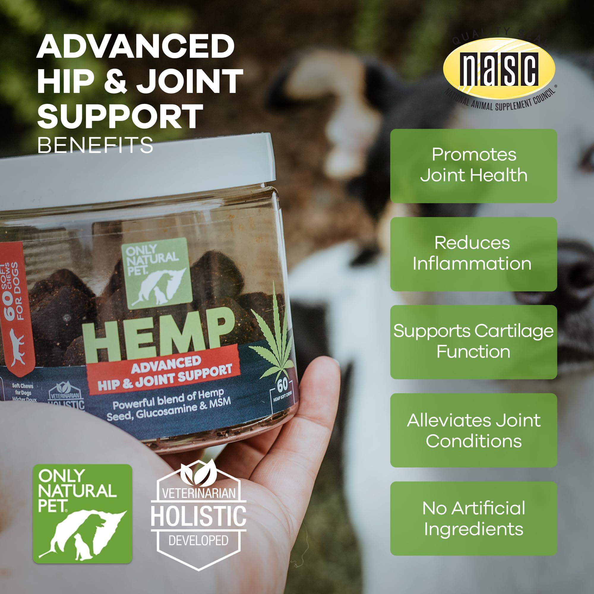 Only Natural Pet Hemp Advanced Mobility with turmeric signals overall joint support.