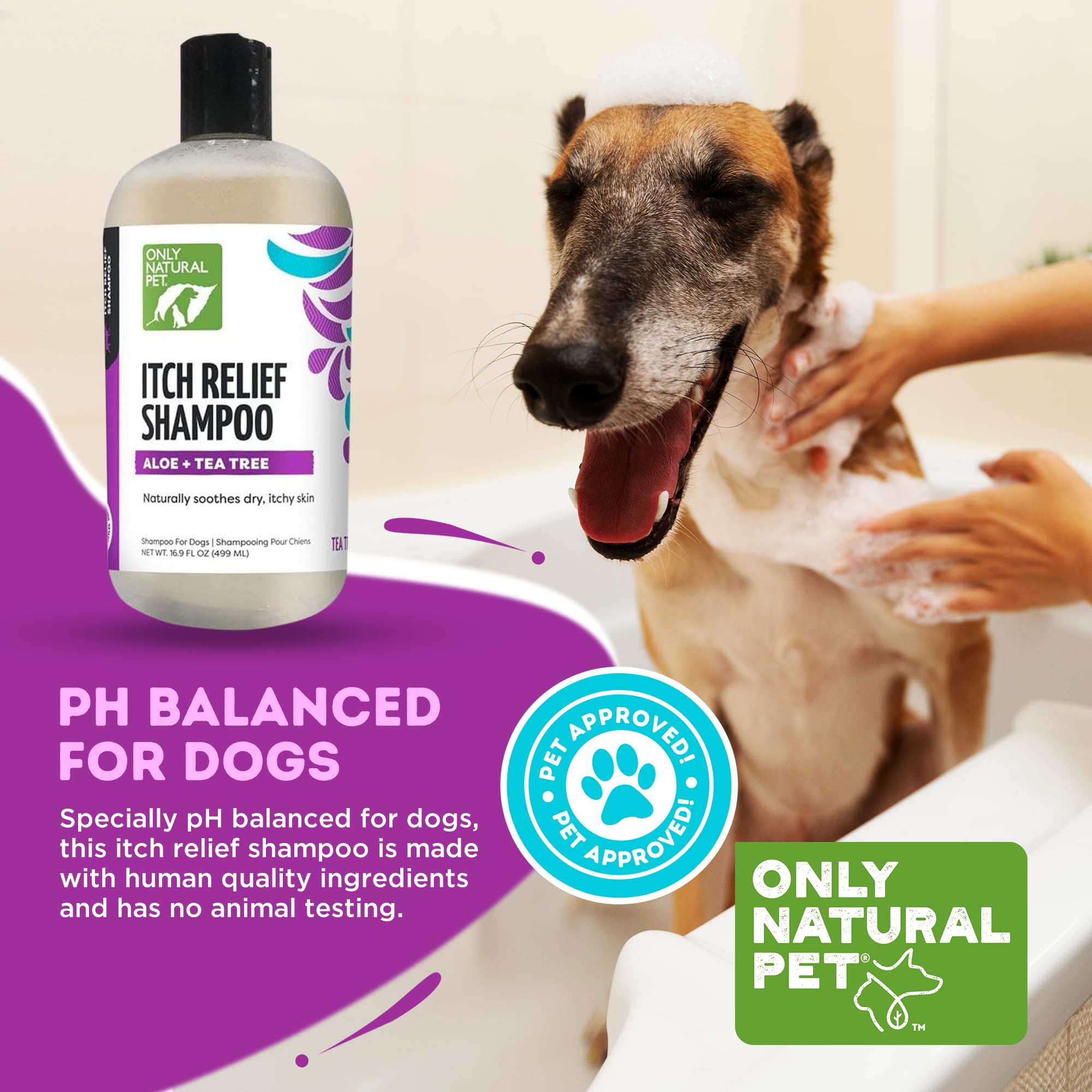 Only Natural Pet Itch Relief Shampoo coat shine shows healthy fur after wash