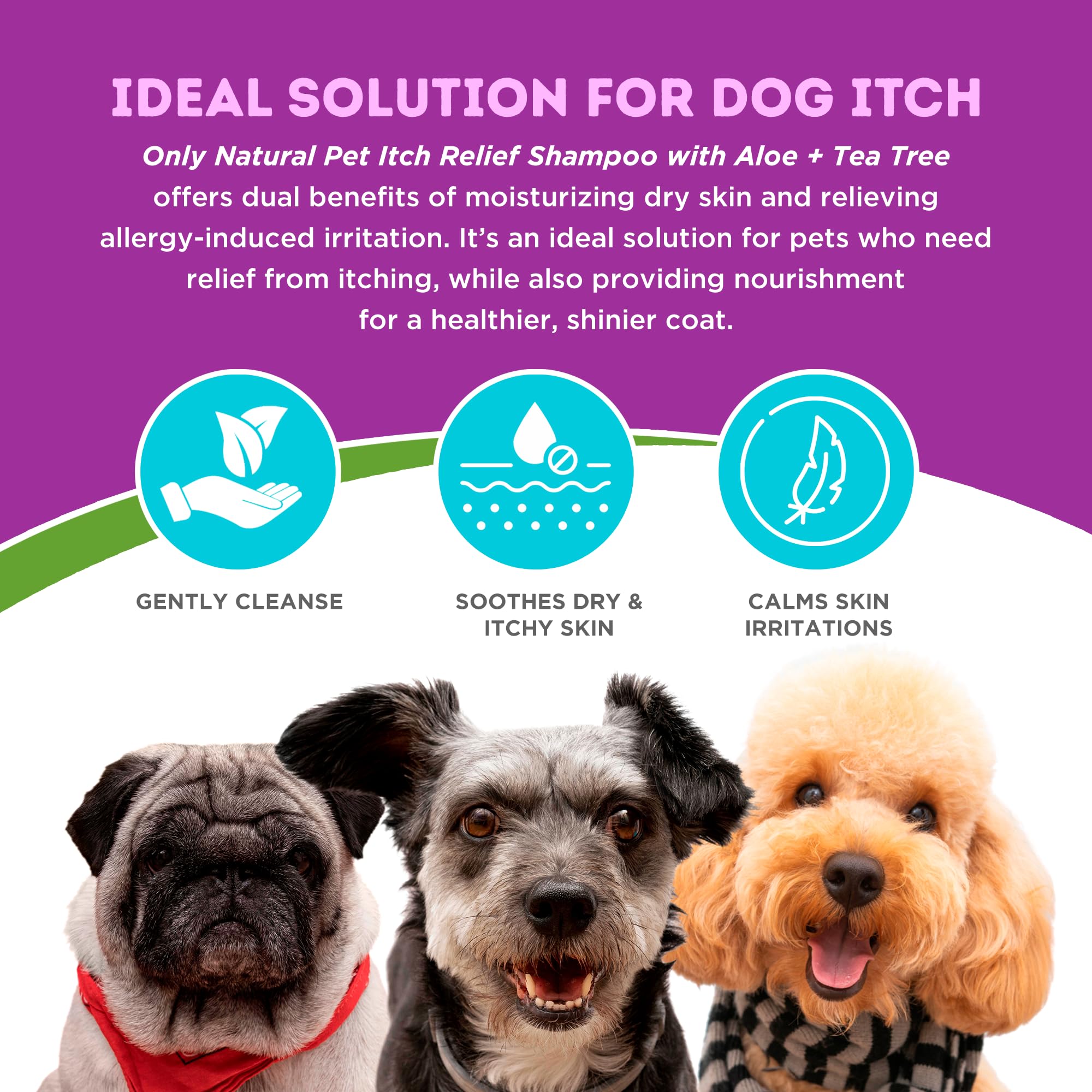 Only Natural Pet Itch Relief Shampoo applied to a dog coat for soft, hydrated fur