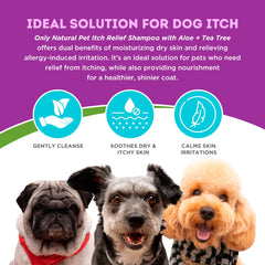 Only Natural Pet Itch Relief Shampoo applied to a dog coat for soft, hydrated fur