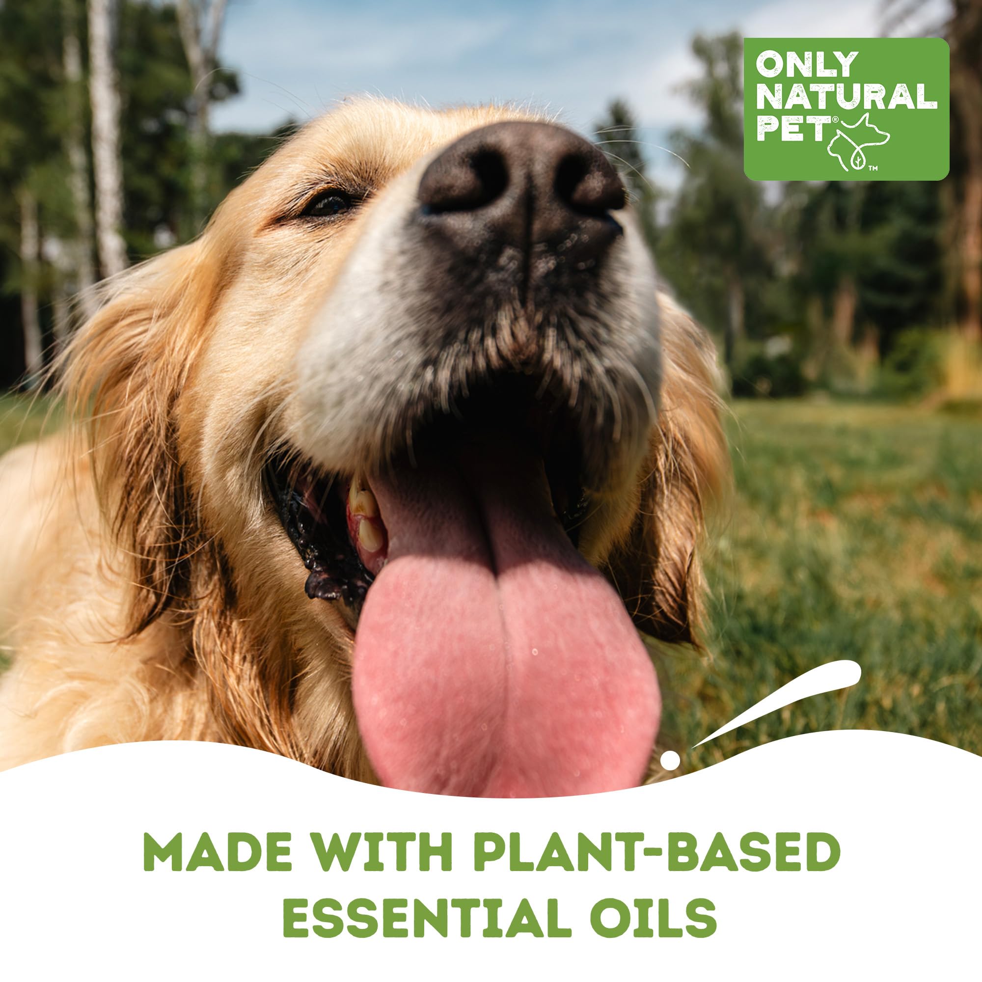 Only Natural Pet No Marking Deterrent Spray supports puppy potty training.