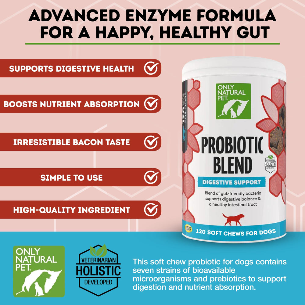 Close-up of Only Natural Pet probiotic chews highlighting texture and palatability for dogs and cats