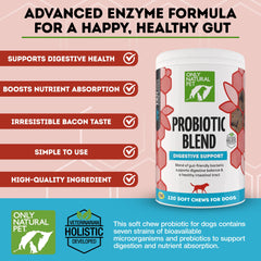 Close-up of Only Natural Pet probiotic chews highlighting texture and palatability for dogs and cats