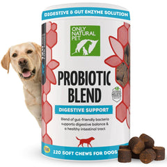 Only Natural Pet probiotic dog and cat soft chews in a bottle for easy digestion support