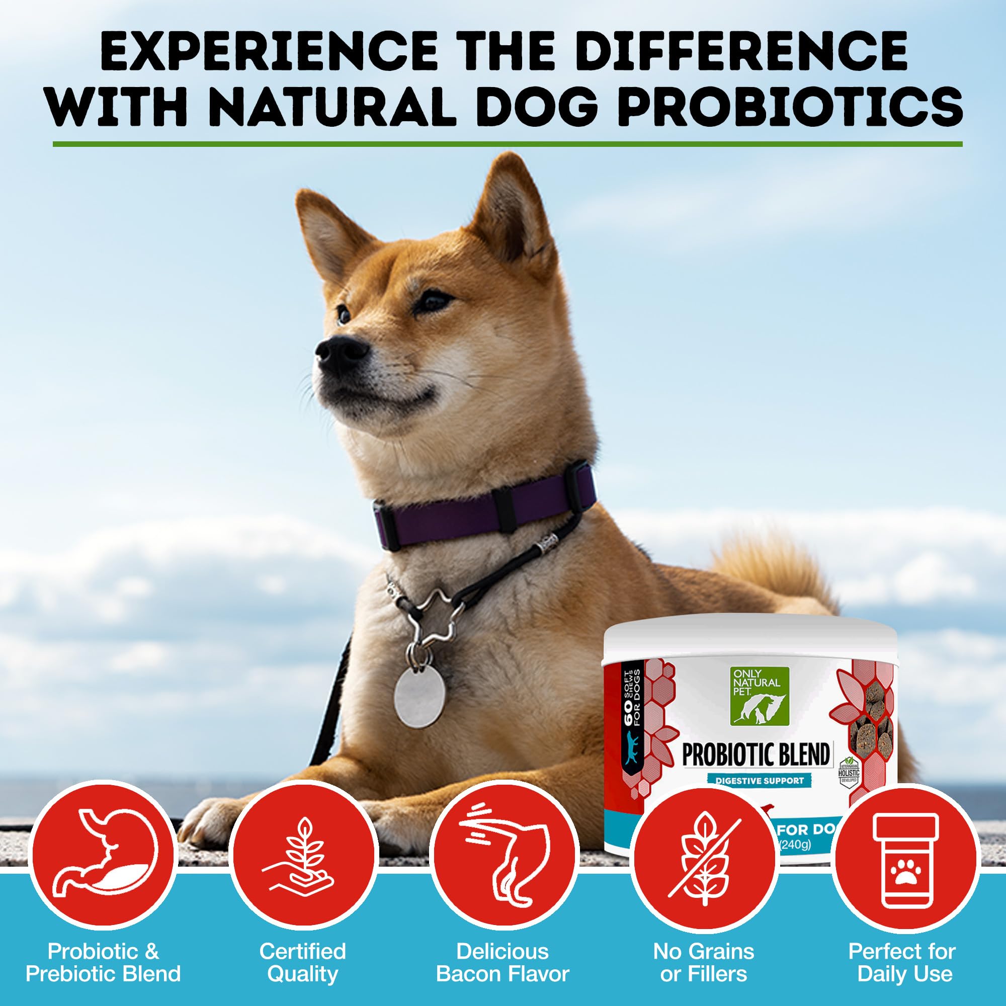 Only Natural Pet probiotic ingredients label confirms quality and formulation.