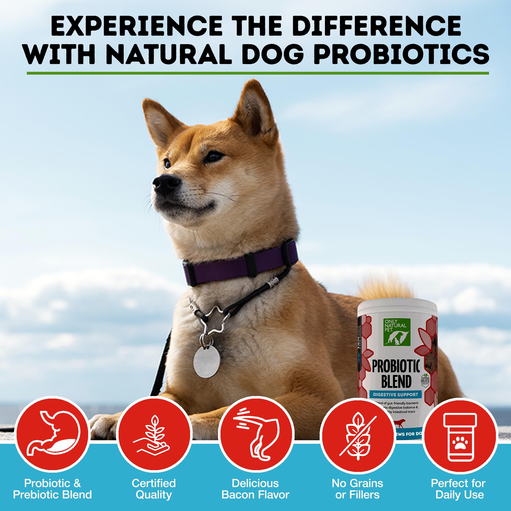 Only Natural Pet probiotic ingredients show prebiotic FOS supporting gut-friendly bacteria