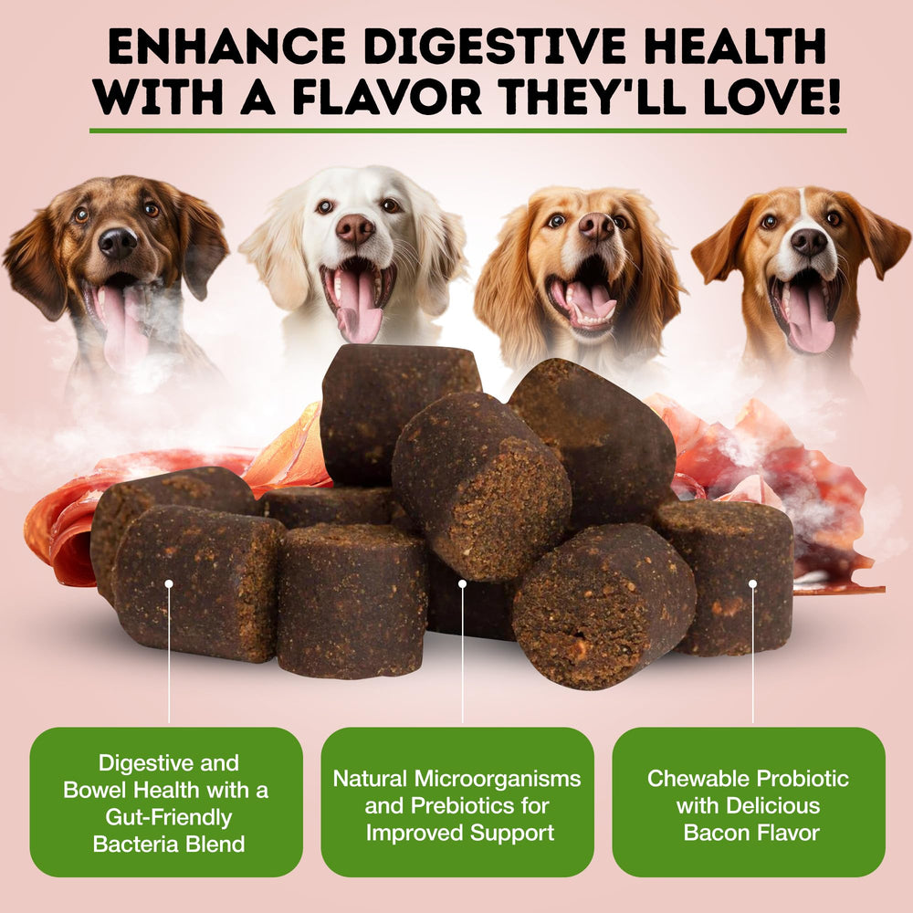 Only Natural Pet probiotic puppy and adult dogs chews illustrate versatile gut wellness.