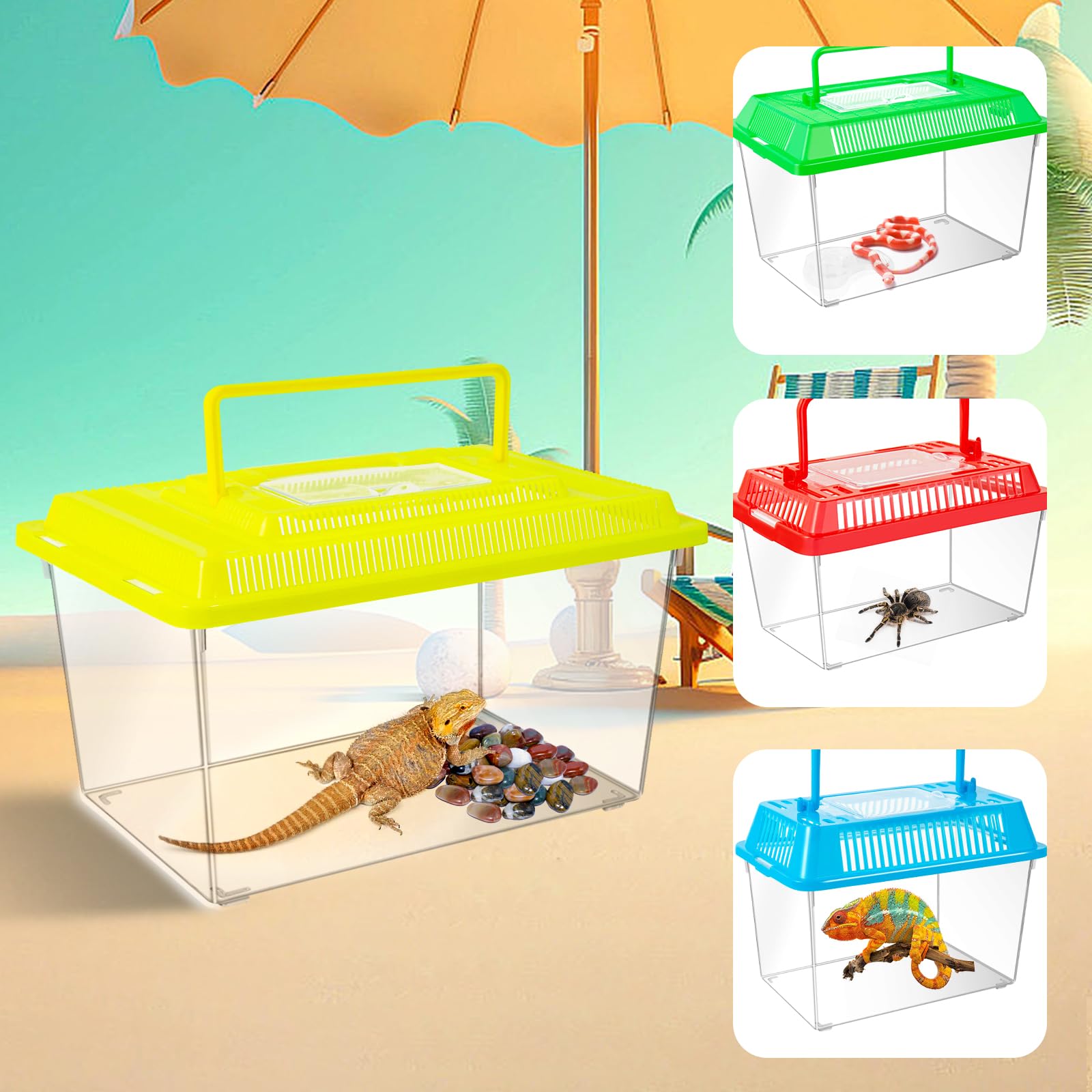 ONLYFU random color lids provide versatile display options