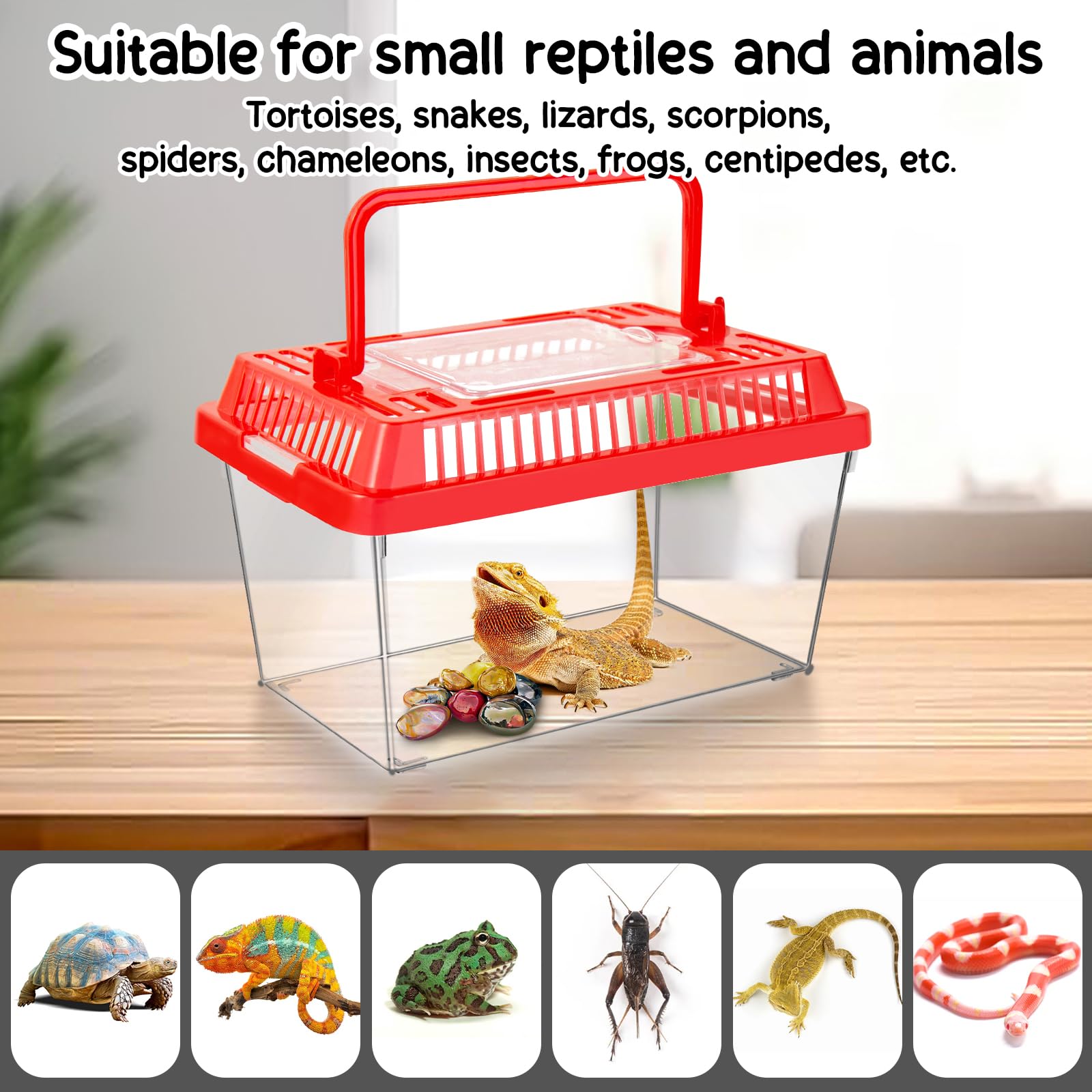 ONLYFU turtle aquarium with carrying handle for convenient moves