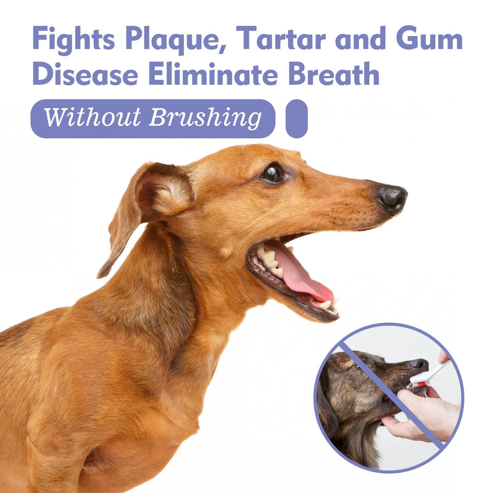 OntumLeafis fresh breath potential with everyday use for cats and dogs.