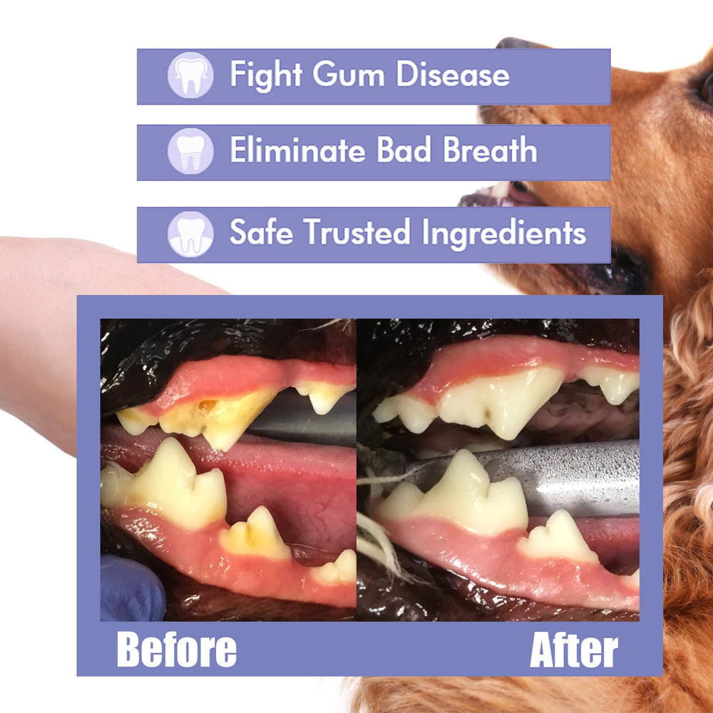 OntumLeafis suitable for multi-pet households, simplifying dental routines.