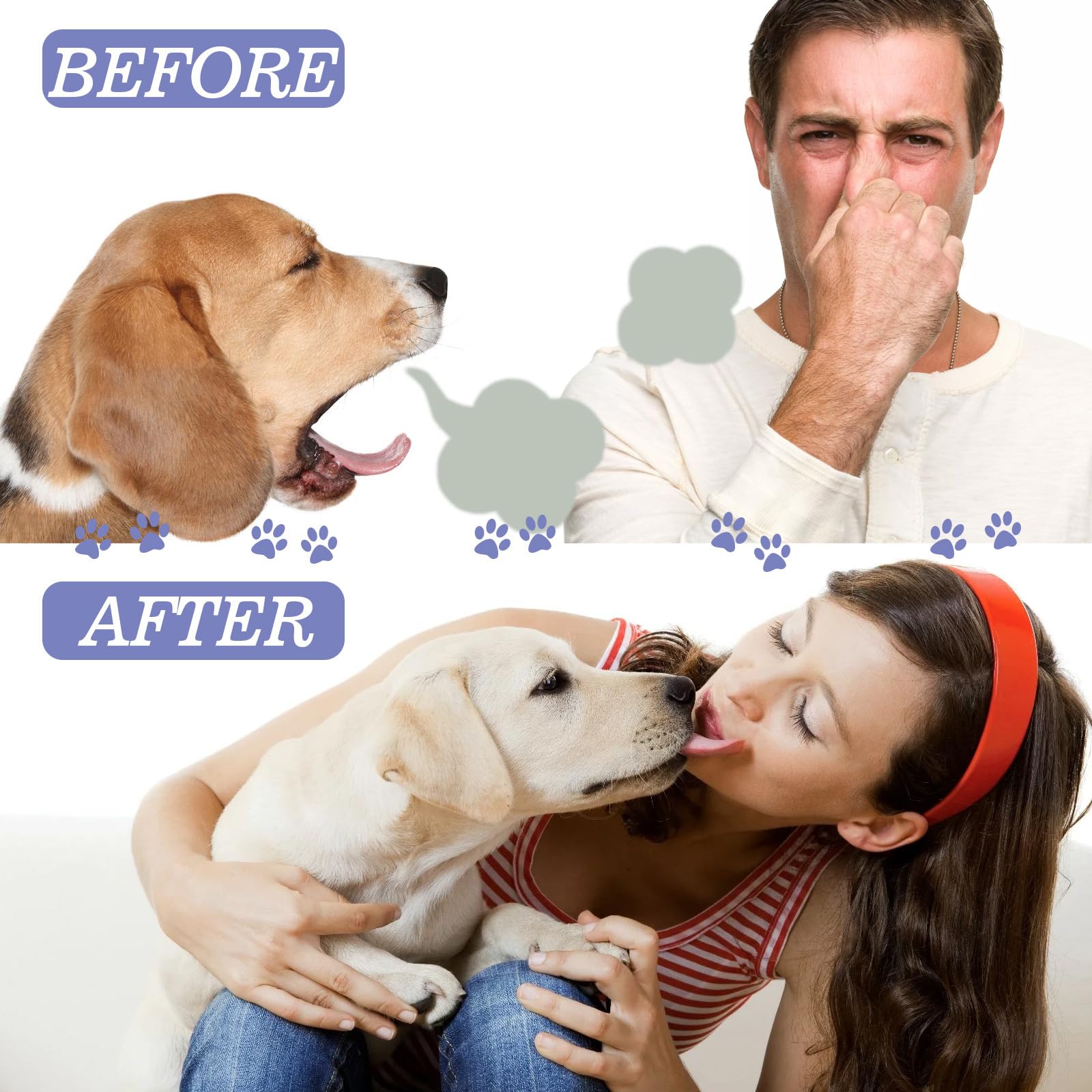 OntumLeafis spray-on application helps reduce stains and odors in pets.