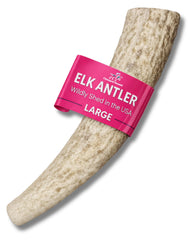 Onward Hound elk antlers for dogs, 7-inch large chew for long-lasting engagement.