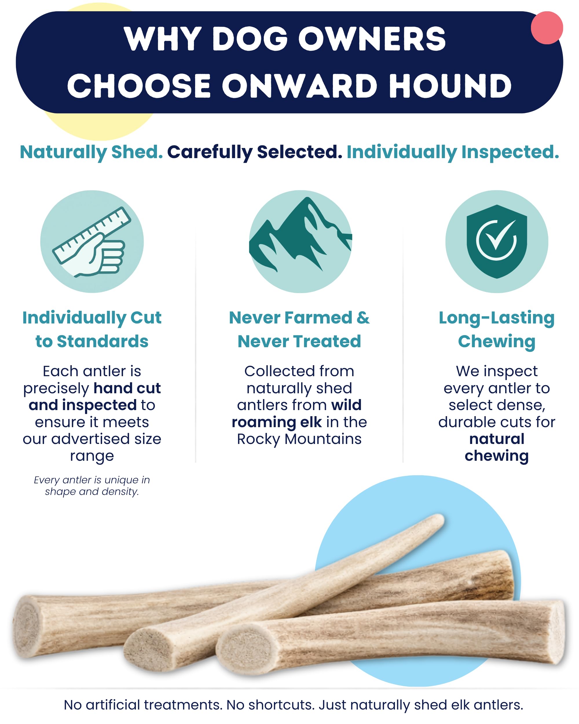 Onward Hound medium elk antlers for dogs 15–35 lb provide balanced chew.
