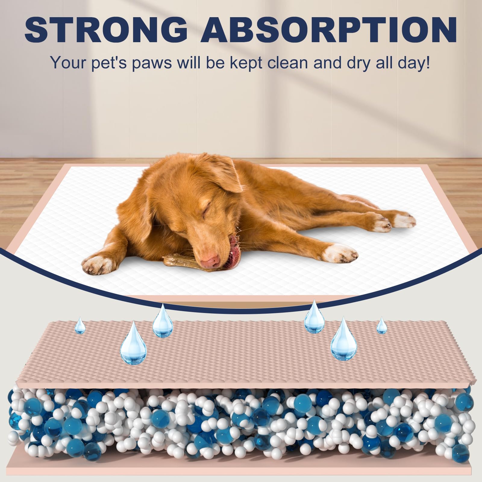OOMICAT pink stylish design blends with home decor while training.