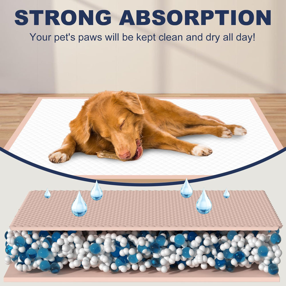OOMICAT pink stylish design blends with home decor while training.