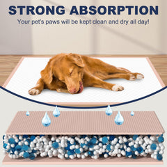 OOMICAT pink stylish design blends with home decor while training.