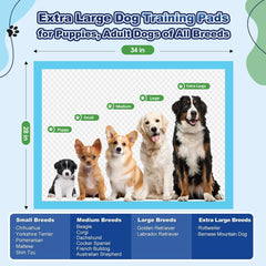 Oomicat Puppy Pads XL absorbent core locks moisture and forms a gel.