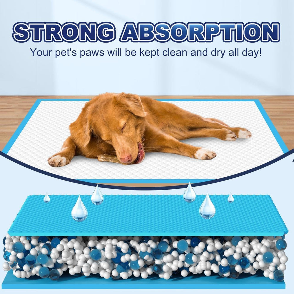 Oomicat Puppy Pads XL multi-use setup on bedding and furniture.