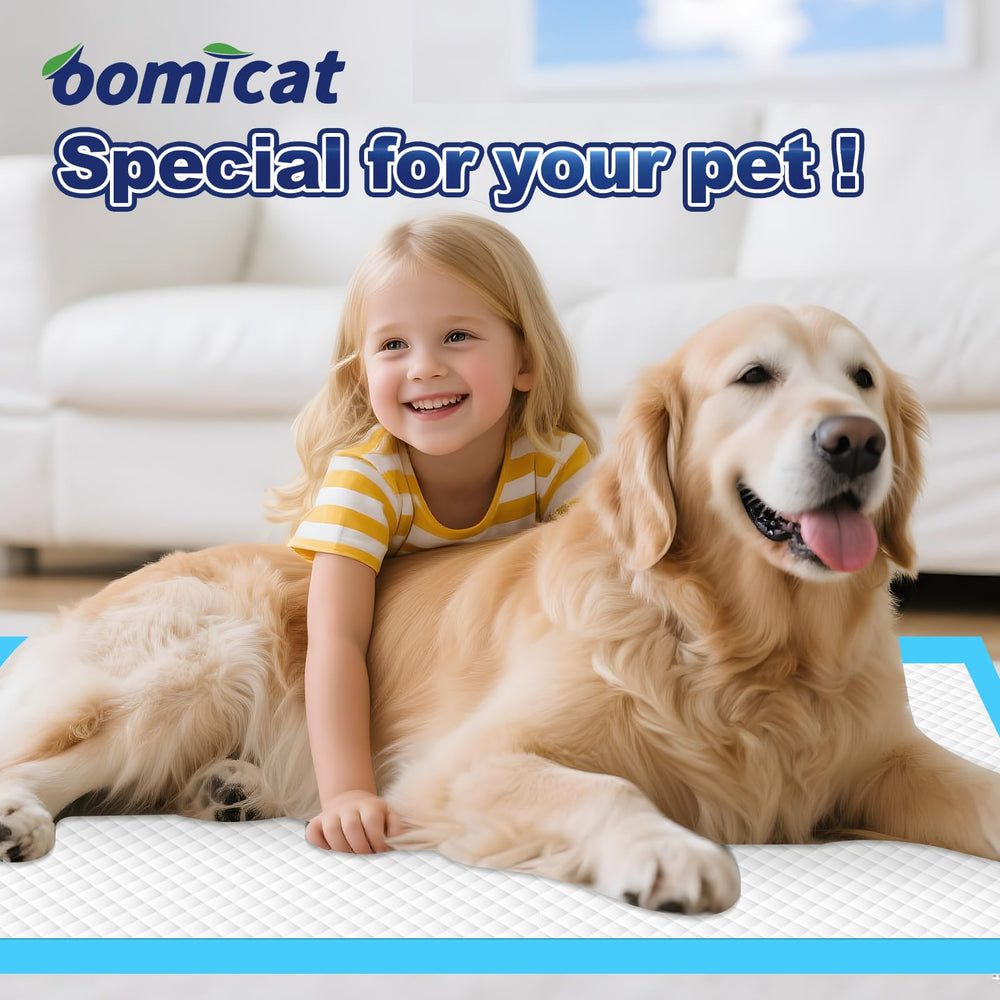 Oomicat XL 34x28 inch size fits larger pets and spaces.