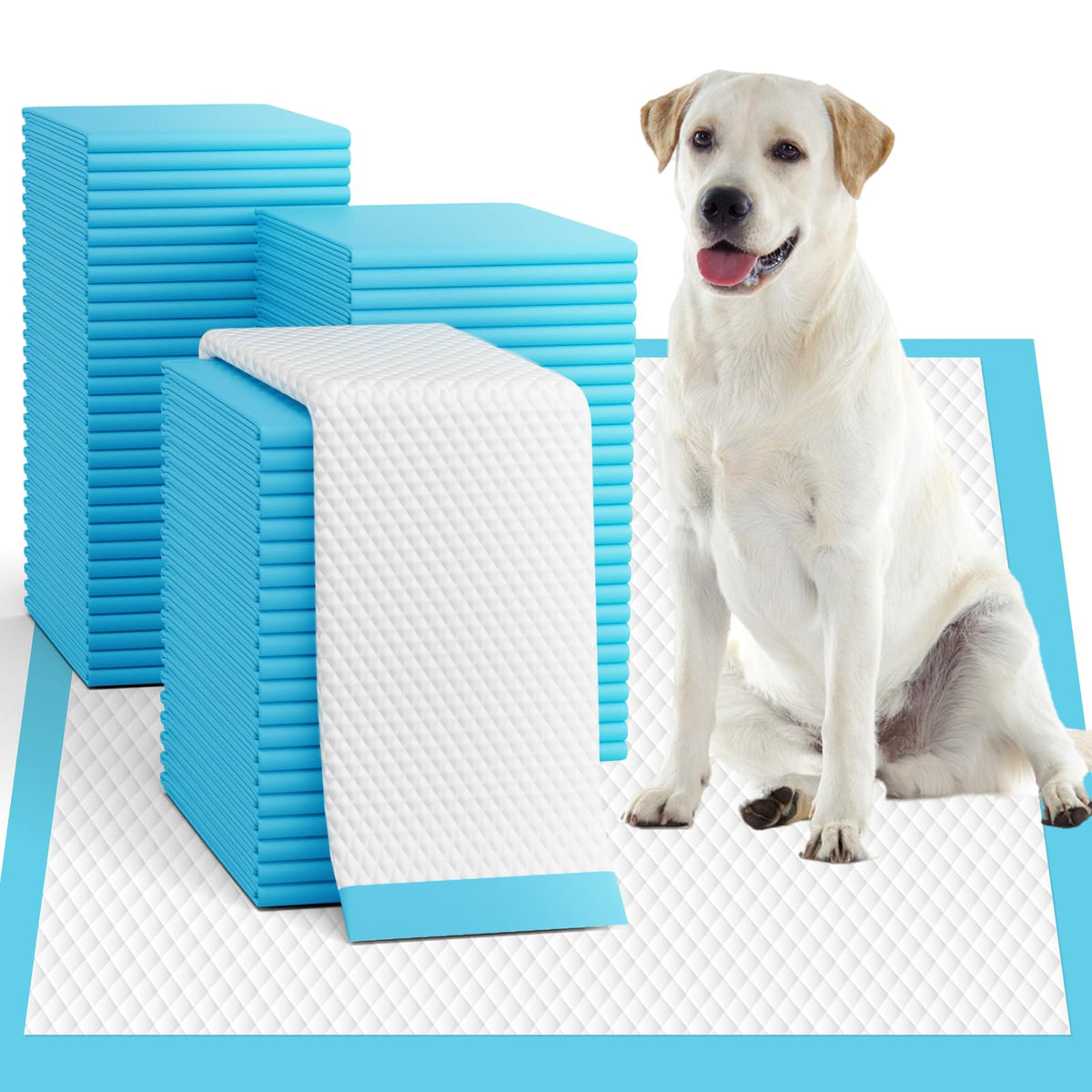 Oomicat XL puppy pads pack ready for potty training.