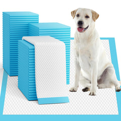 Oomicat XL puppy pads pack ready for potty training.