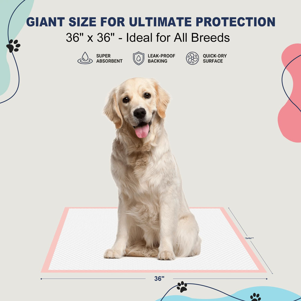 OOMICAT six-layer leak-proof design protects floors during training.
