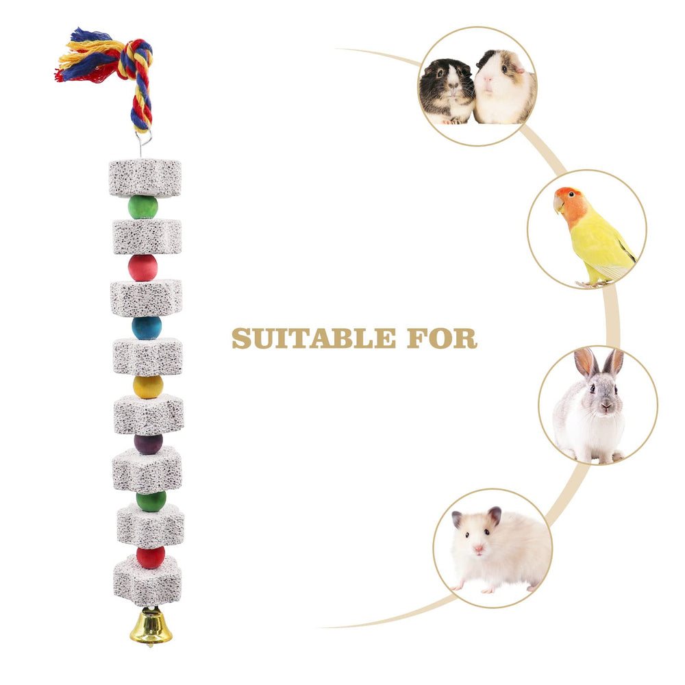OOOCT two-pack calcium stone chews offer extended use for birds