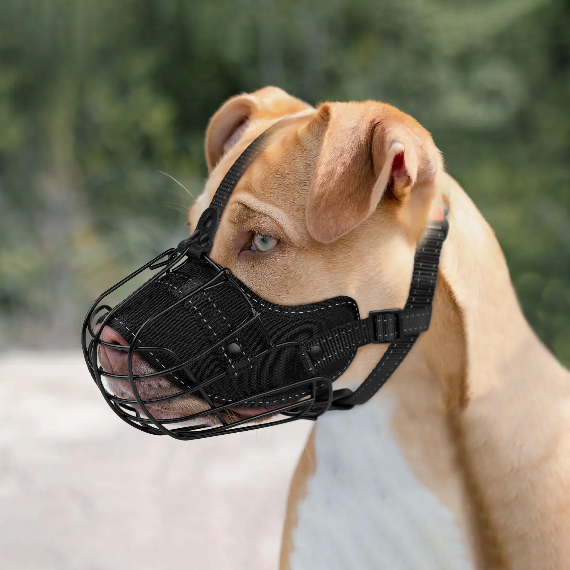 OOPSDOGGY Escape-proof muzzle helps prevent biting during outdoor activities.