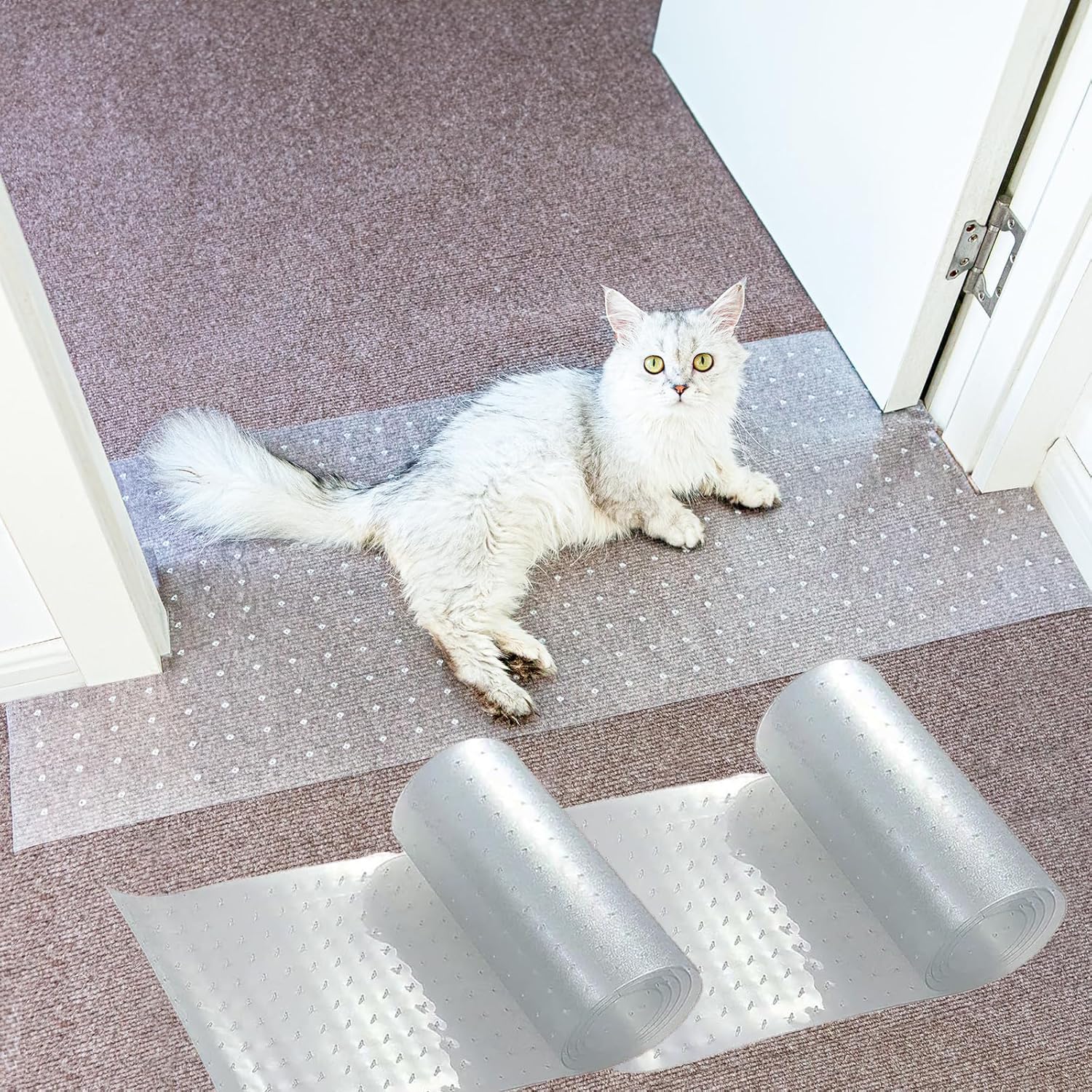 Oroonoko cat-scratch carpet protector 3-pack shields carpets from claws.