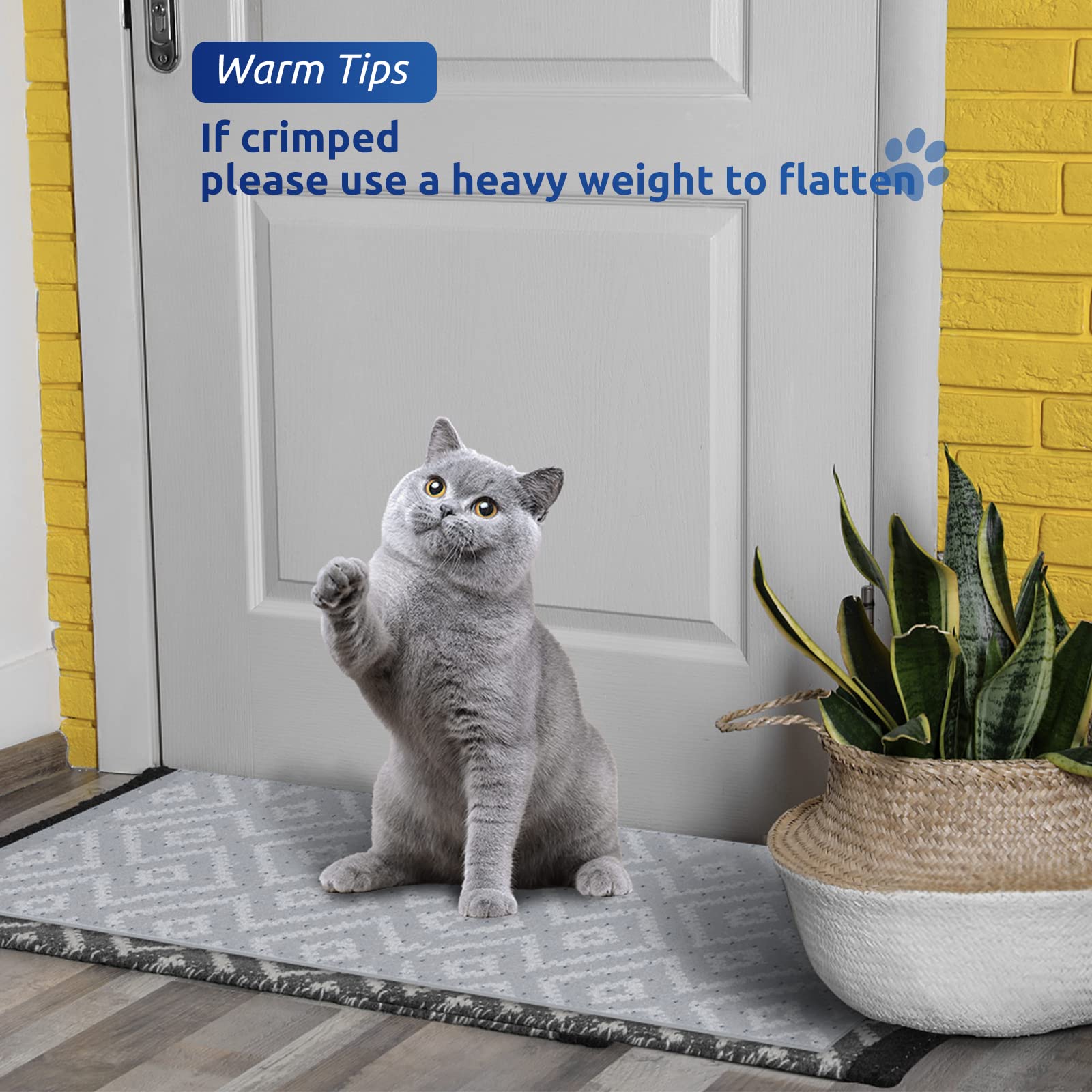 Oroonoko clear protector for under-door use, ideal for renters.